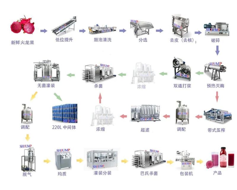 Automatic Dragon Fruit Juice/Paste Processing Line/Production Machine
