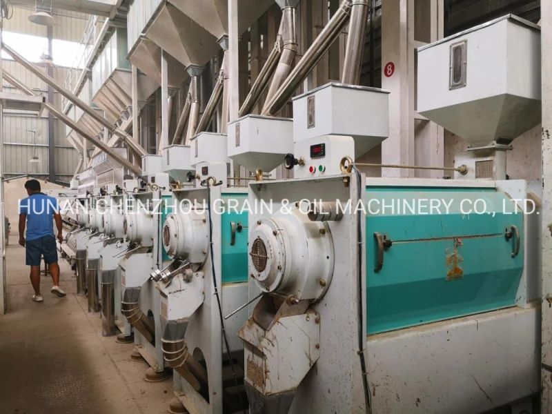 High Quality Clj 50-200tpd Maize Processing Turnkey Project Corn Milling Machine in Egypt