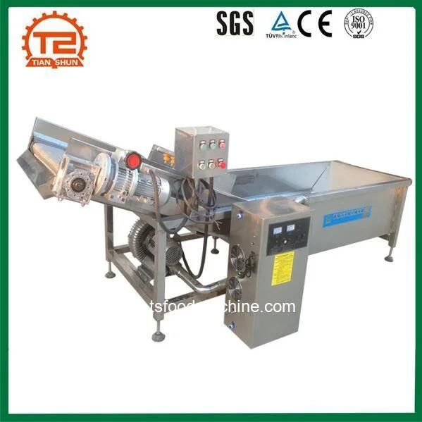 Automatic Commercial Ozone Fruit and Vegetable Washer