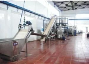 Tomato Paste Production Line