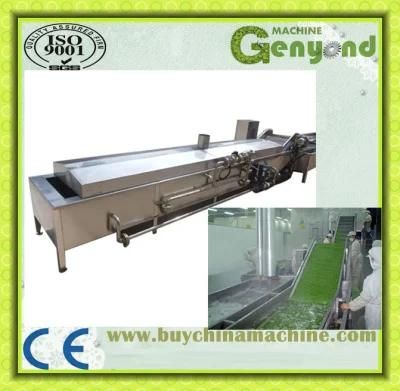 Fruit and Vegetable Blanching Machine