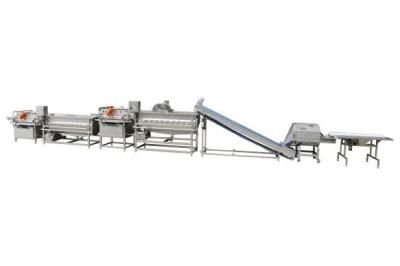 China Supplier Full Automatic Bubble Washer Machine for Fruits and Salad Leaf Vegetables ...