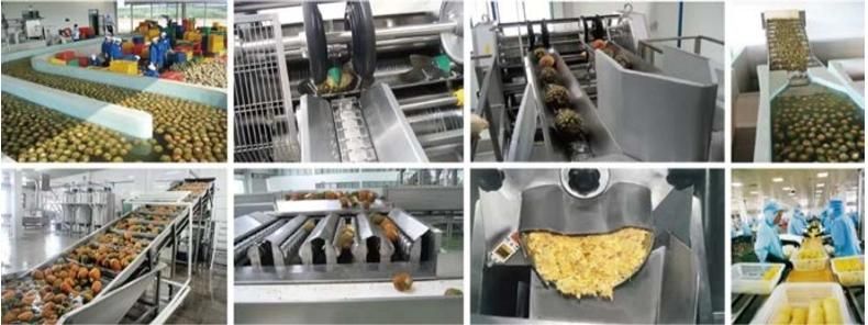 Full Automatic Orange Juice Production Line