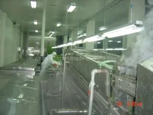 High Quality Automatic Continuous Blanching Machine for Fruit and Vegetable Blanching ...