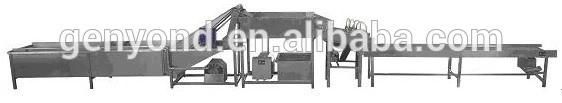 High Efficiency Dates Washing and Sorting Line