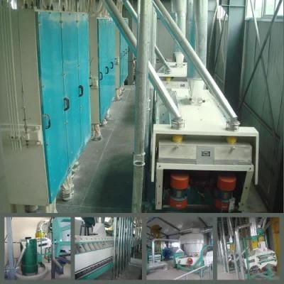 100t/D Agricultural Wheat Flour Making Grinding Machine with Drying Machine