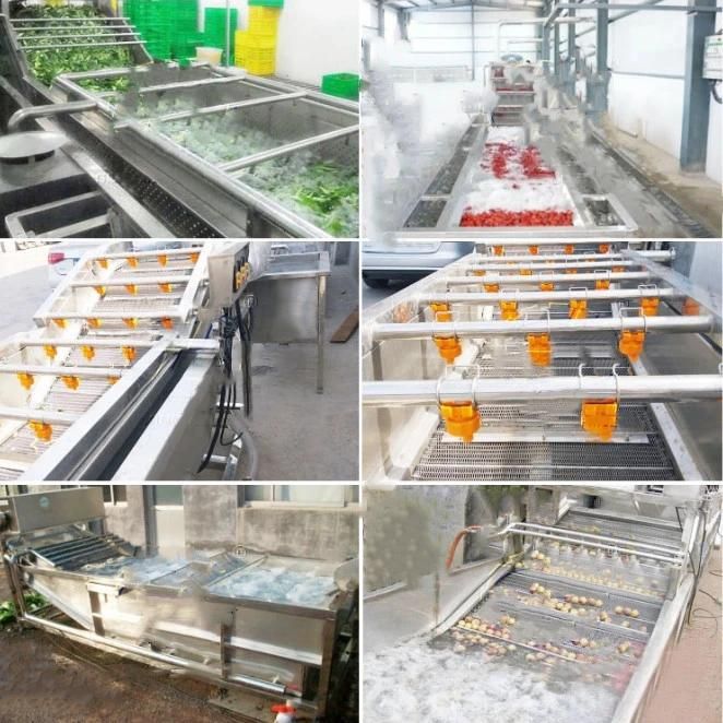 Economic and Practical Raisin Production Line Plant Dried Grapes Processing Line for Sale