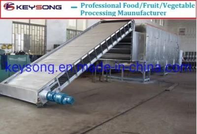 Food Processing Machinery Mesh Belt Dryer