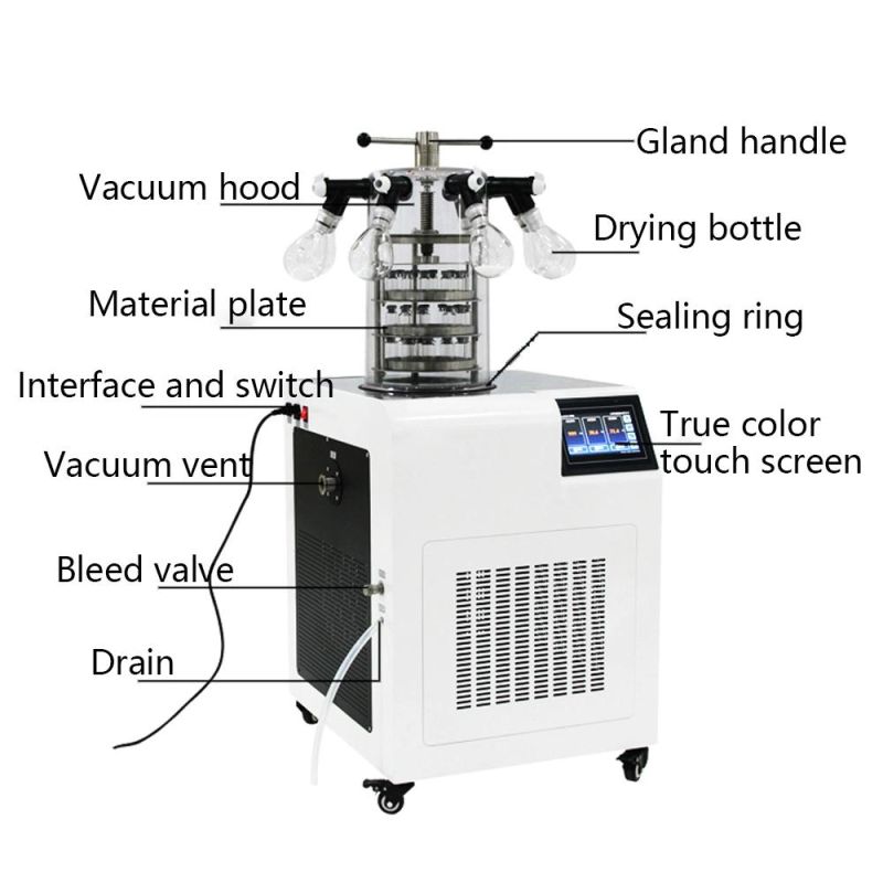 Carbon Steel Ytlg-12A Vertical Freeze Dryer Drying Machine Fruit Dryer Food Freeze Dryers