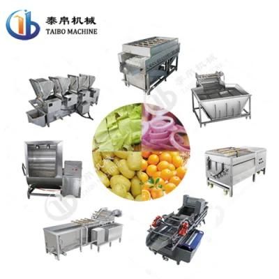 Industrial SUS304 Vegetable/Fruit/Lemon/Apple/Orange/Potato/Carrot Washing/Cleaning ...