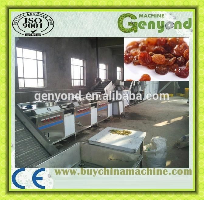 Raisin Processing Machine/Equipment