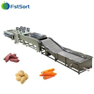 Potato Carrot Eggplant Plant Sweet Potato Washing Drying Sorting Grading Line