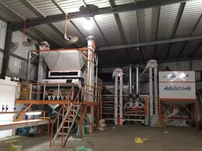 Clj Brand Kidney Bean Processing Professional Auto Rice Mill Machine in Egypt