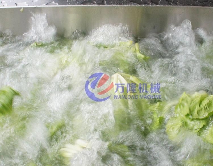 Automatic Leaf Vegetable Fruit Luttuce Salad Bubble Washing Cutting Processing Line