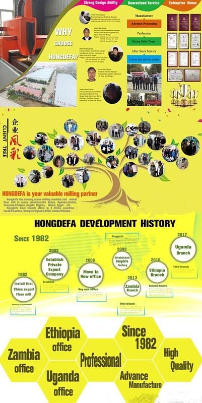 Hongdefa Automatic Running 50t/24h Maize Flour Milling Plant
