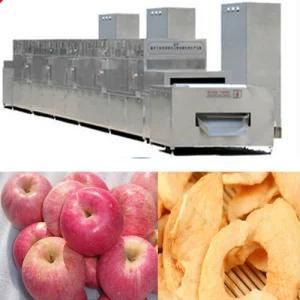 Dried Apple Chips Processing Machine