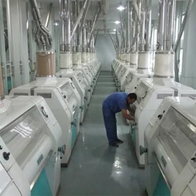 Automatic Wheat Maize Corn Semolina Making Machine Flour Production Project
