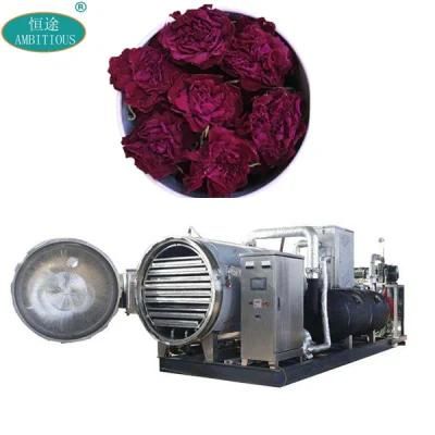 Dehydrator Machine Vacuum Freeze Dryer Flower Cold Drying Machine