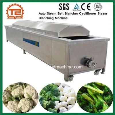 Vegetable Processing Equipment Auto Steam Belt Blancher Cauliflower Steam Blanching ...