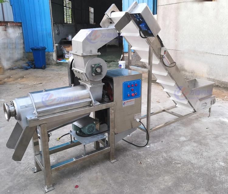 Spiral Apple Orange Juicer Extractor Commercial Fruit Juice Making Machine for Sugar Cane, Garlic, Ginger, Kiwi, Tomato