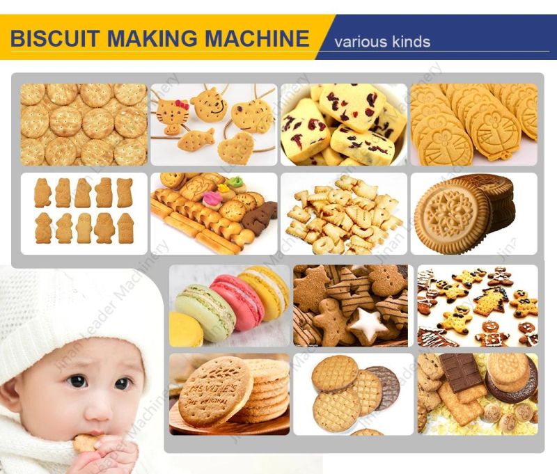 Small Scale Industrial Biscuit Cookies Making Machine Price Baby Biscuit Line Soft and Hard Biscuit Machine Manufacturing Plant Automatic Biscuit Maker