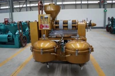 Advanced Combined Sunflower Oil Press with Oil Filter