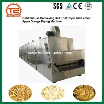 Continuous Conveying Belt Fruit Dryer and Lemon Apple Orange Drying Machine