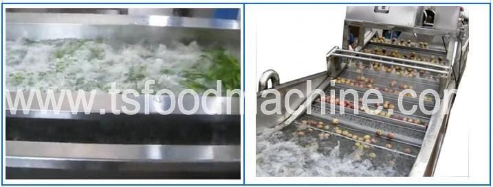 Fruit and Vegetable Processing Line with Washing Cutting Drying and Packing Machine