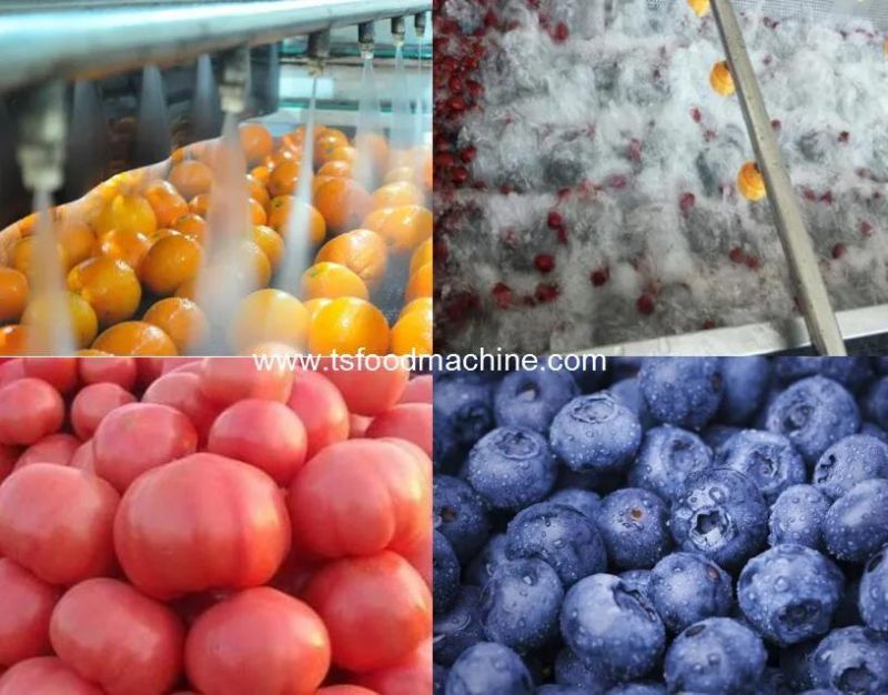 Automatic Bubble Ozone Washer Commercial Fruits Vegetables Washing Machine