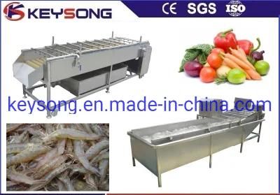 Professional Fruit Vegetable Food Processing Machine Washing Equipment