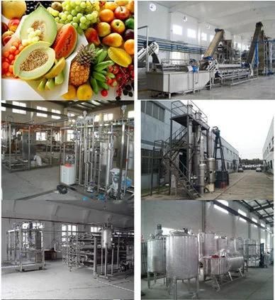 Complete Automatic Fruit Juice Processing Line