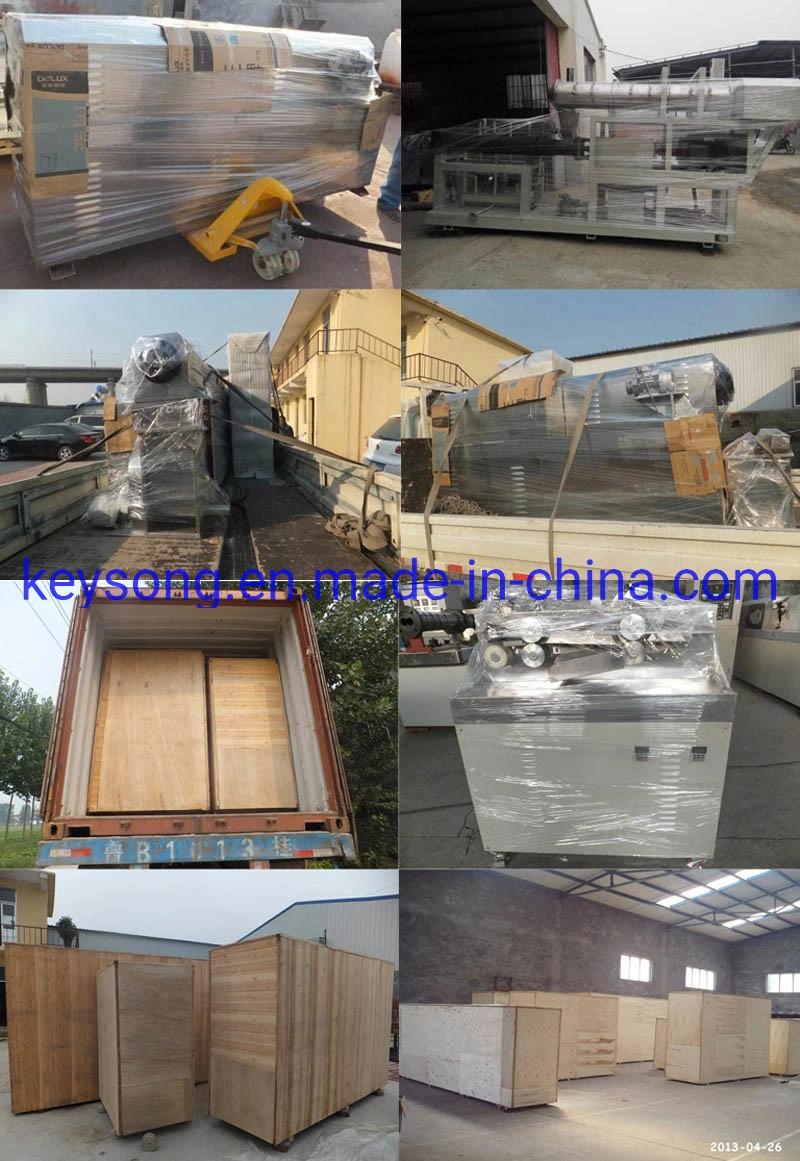Conveyor Mesh Belt Dryer, Food Fruit Vegetable Drying Machine