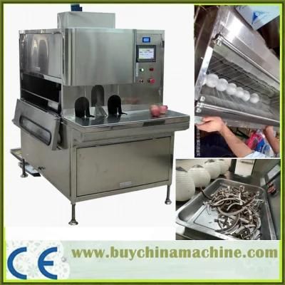 Full Automatic Stainless Coconut Peeling Machine