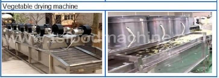 Fruit and Vegetable Processing Line with Washing Cutting Drying and Packing Machine