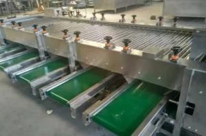 Tomato Sorting Machine for Sale