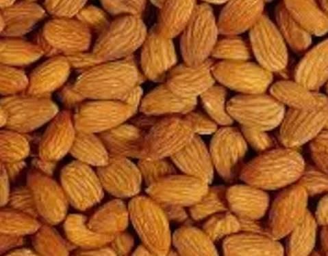 Food Blanching Machinery Hazelnut Small Steam Water Blanching Machine for Cheap Price