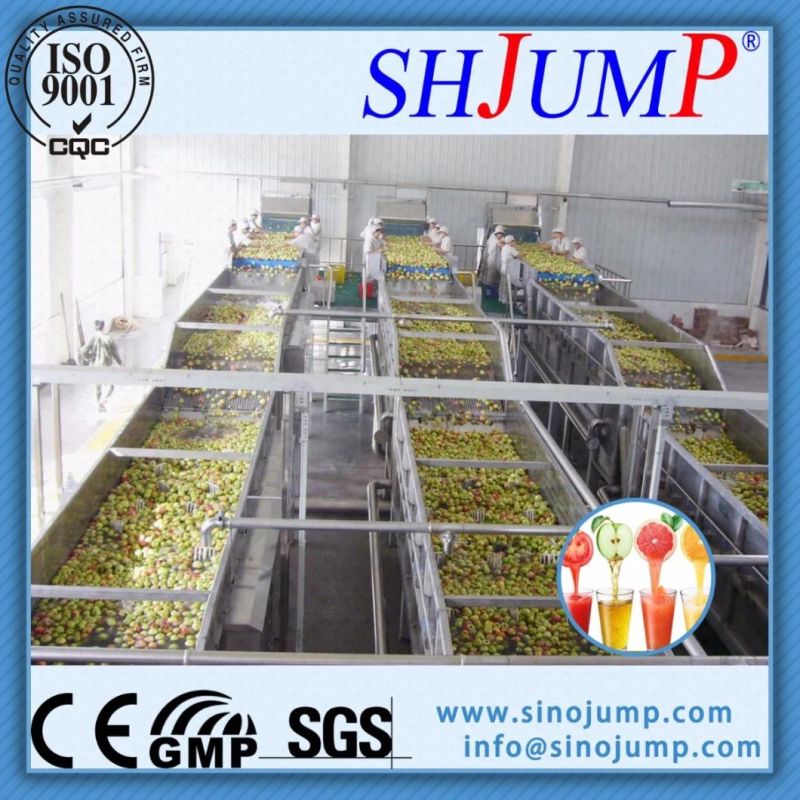 Full-Automation Fruits Processing Plant/Fruit Production Line