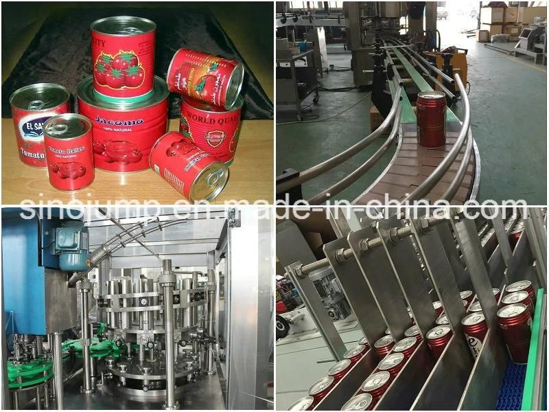 Affordable High-Speed Canned Tomato Paste Filling Machines