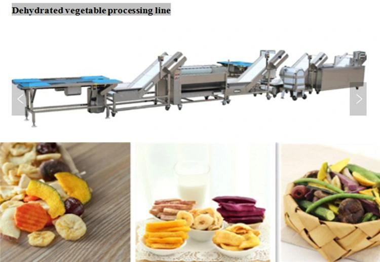 The Best Quality Dehydrated Vegetable Processing Line