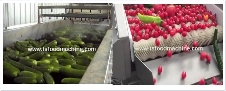 Industrial Fresh Vegetable Fruits Cleaning Processing Peach Washing Machine