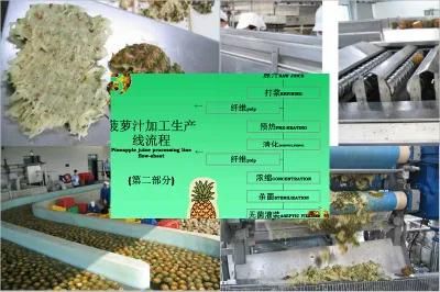 High-Proficient Typical Pineapple Production Line for Pineapple Juice, Jam or Snacks ...