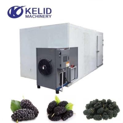 Hot Air Mulberry Drying Machine