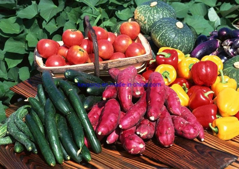 Commercial Apple Strawberry Blueberry Cherry Fruit Vegetable Washing Machine