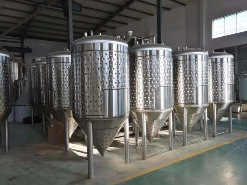 Cassman 500L Beer Unitank