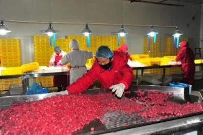 1t-30t Per Hour Raspberry Jam Processing, Whole Line Machinery Supply