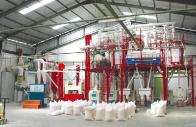 Corn Maize Flour Meal Bran Grits Processing Grinding Milling Machine