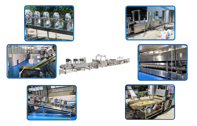 Automatic Stainless Steel Type Potato Chips Continunous Deep Fryer Machine