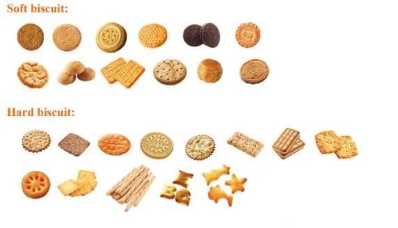 Skywin Small Industry Biscuit Making Machine/Small Capacity Biscuit Production Line Price