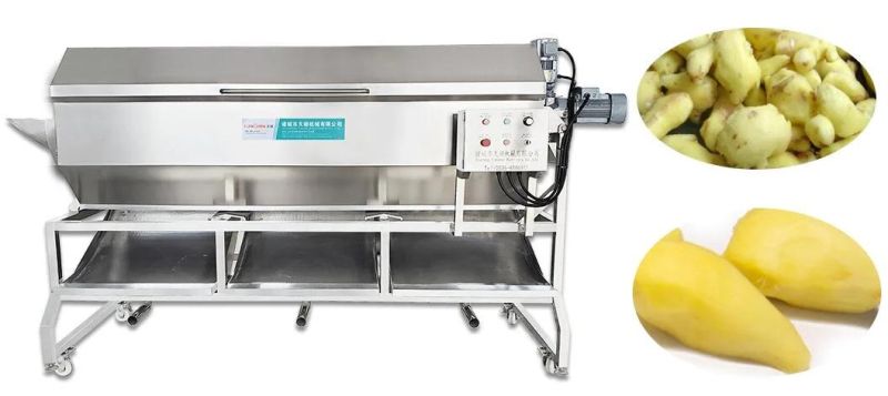 Industrial Brush Root Cassava Carrot Ginger Potato Washer Peeler Machine