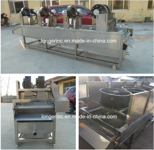 Best Quality Mushroom Vegetable Drying Machine Fruit Dryer